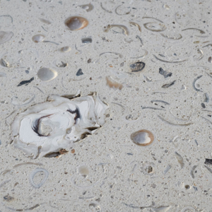 old world tabby handmade oyster concrete savannah stone source paver