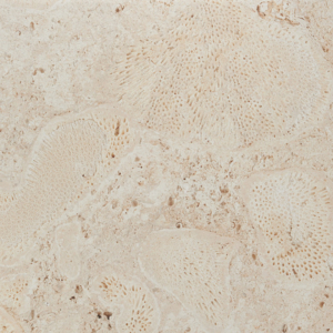 old world tabby coral select porcelain savannah stone source paver